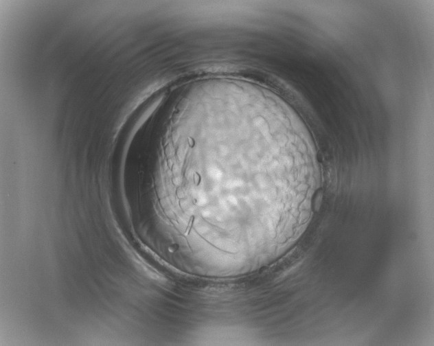 X0000063470725200602171954
