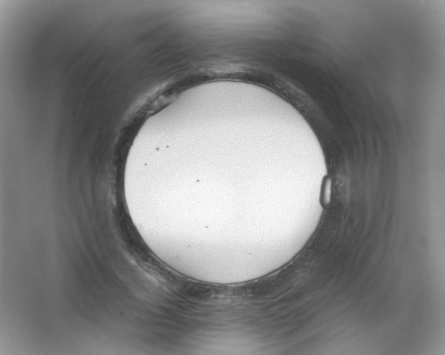 X0000063470732200602171954