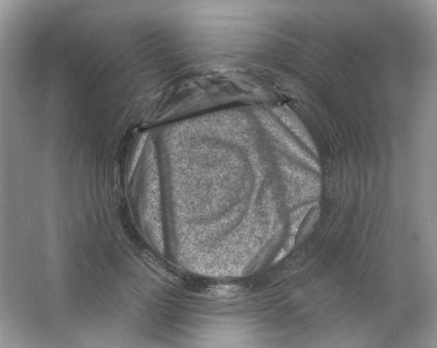 X0000063470748200602171955