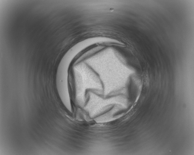 X0000063470766200602171955