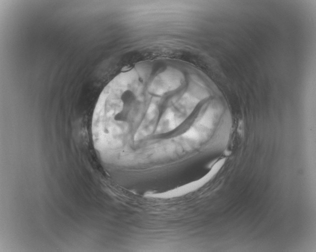 X0000063470771200602171954