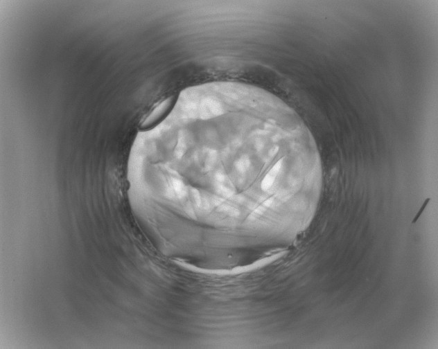 X0000063470772200602171954