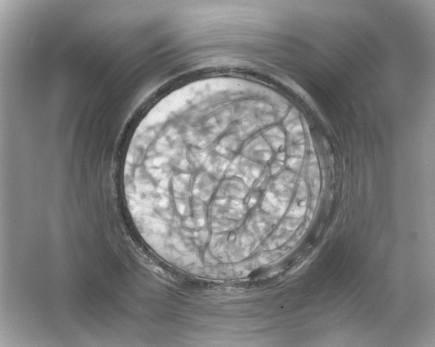 X0000063470783200602171954