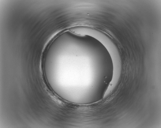 X0000063470788200602171954