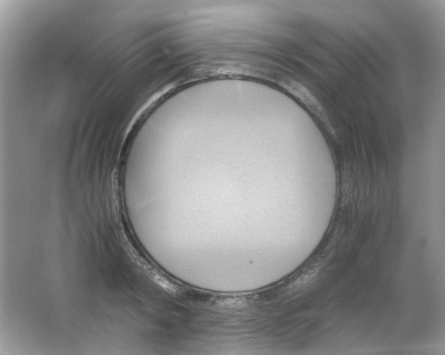X0000063470798200602171954
