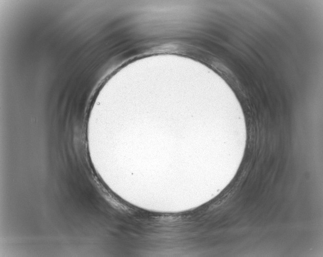 X0000063470800200602171954