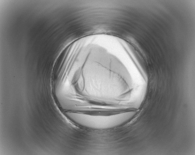 X0000063470810200602171953