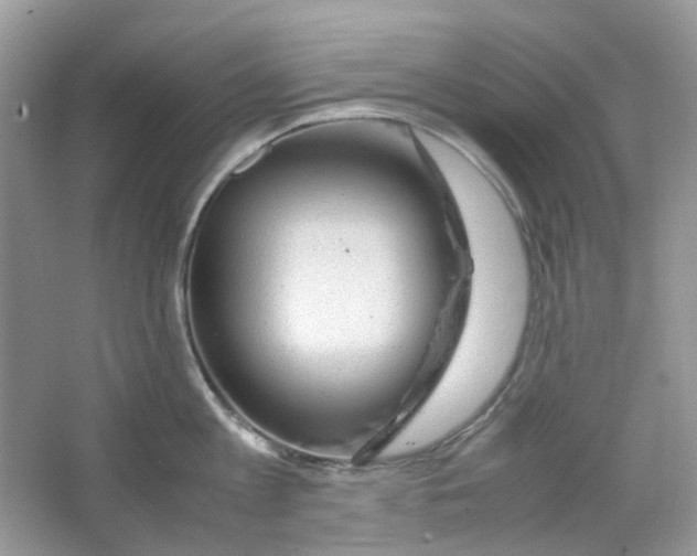 X0000063470813200602171953