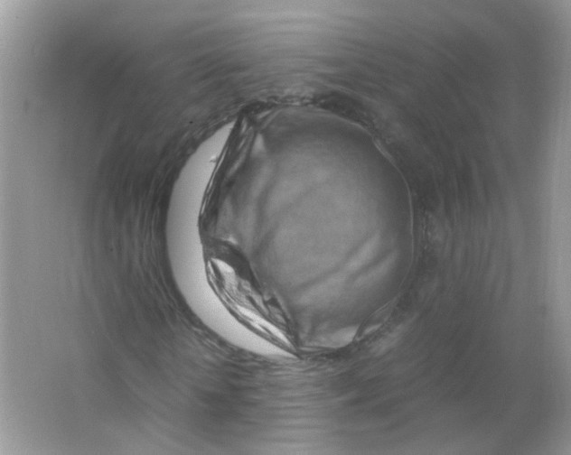 X0000063470818200602171952