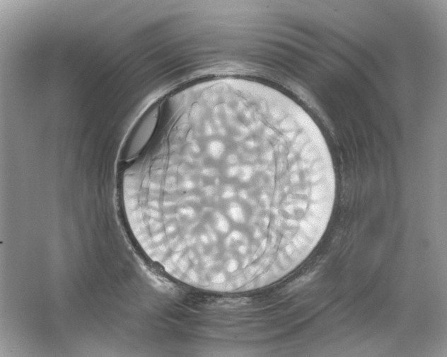 X0000063470845200602171953