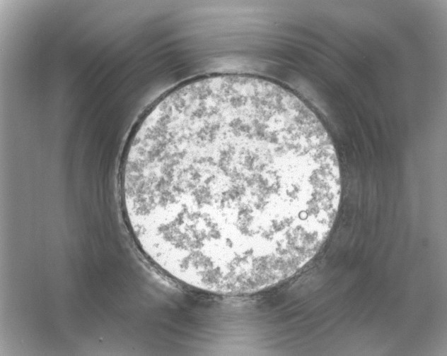 X0000063470848200602171953