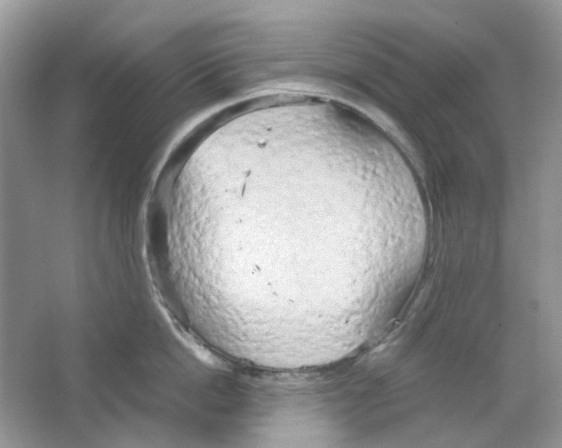 X0000063470862200602171953
