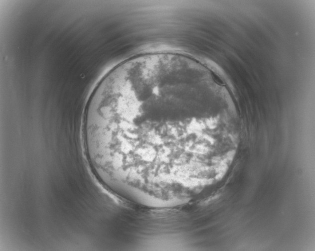 X0000063470863200602171953