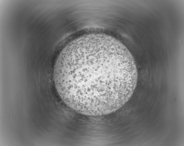 X0000063470870200602171952