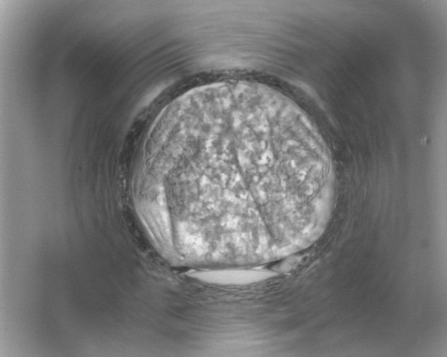 X0000063470871200602171952