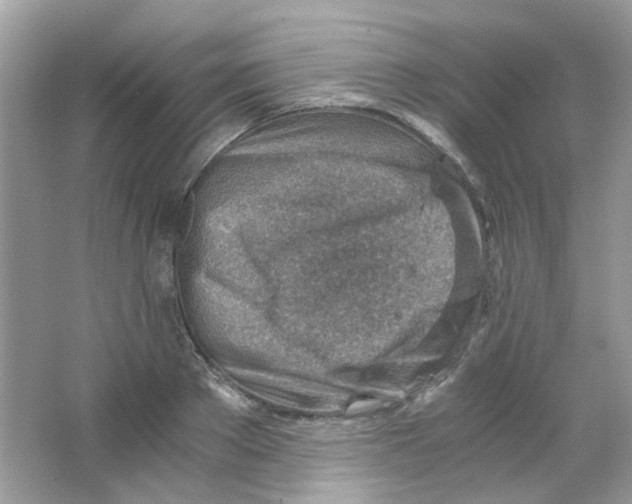 X0000063470889200602171952