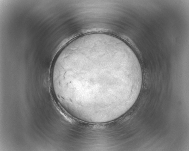 X0000063470890200602171952