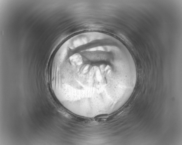 X0000063470891200602171952
