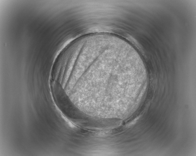 X0000063470893200602171952