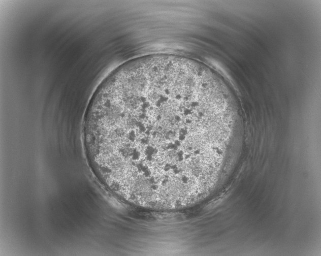 X0000063470899200602171952