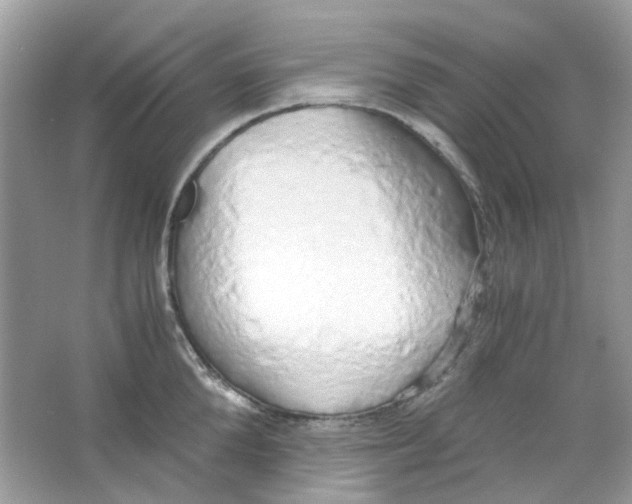 X0000063470904200602171952