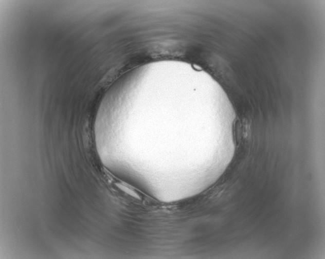 X0000063470915200602171951