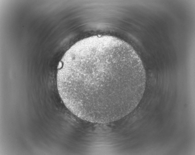 X0000063470918200602171951