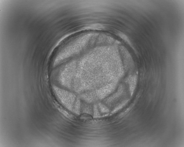 X0000063470923200602171951