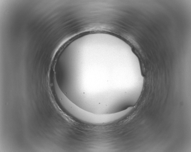 X0000063470936200602171951