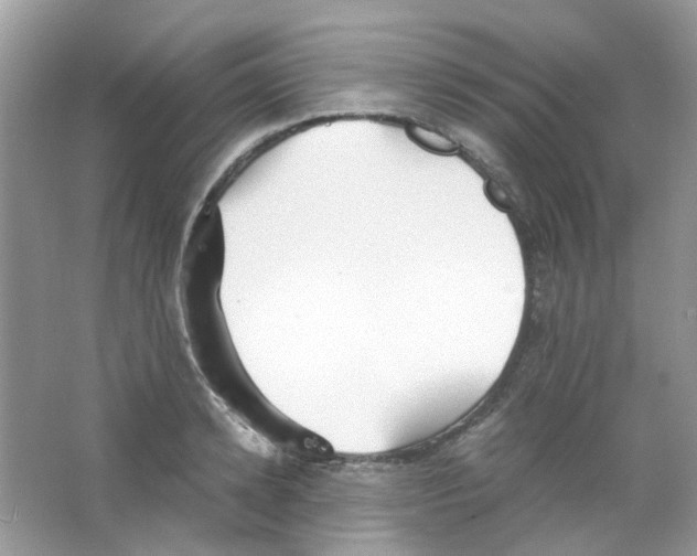 X0000063470942200602171951