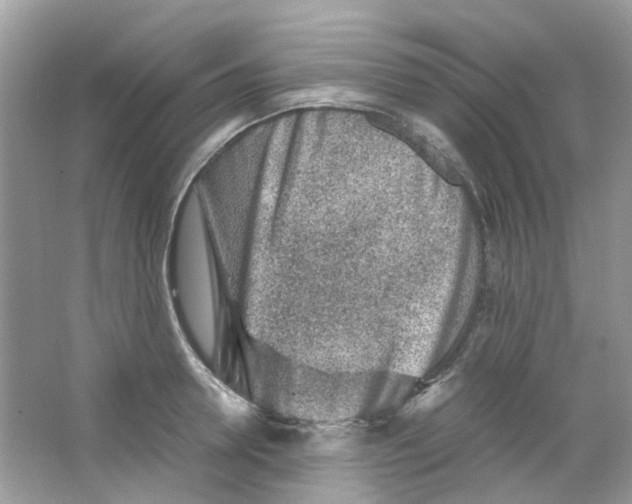 X0000063470946200602171951