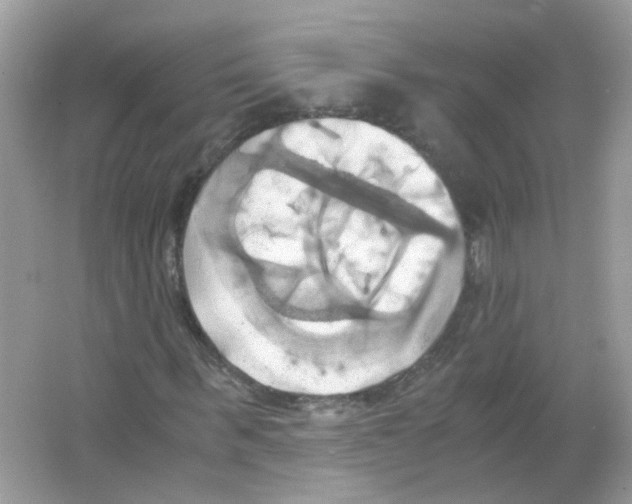 X0000063470963200602171951