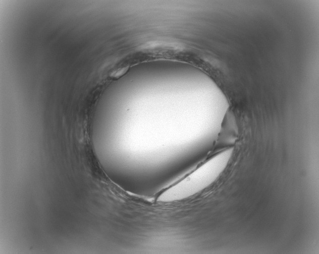 X0000063470965200602171950