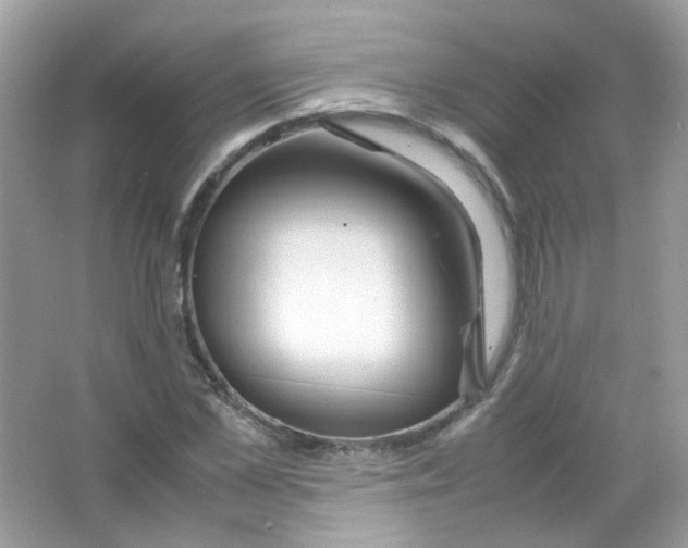 X0000063470973200602171950