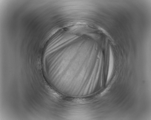 X0000063470977200602171950