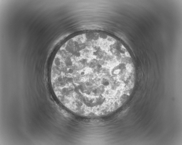 X0000063470979200602171950