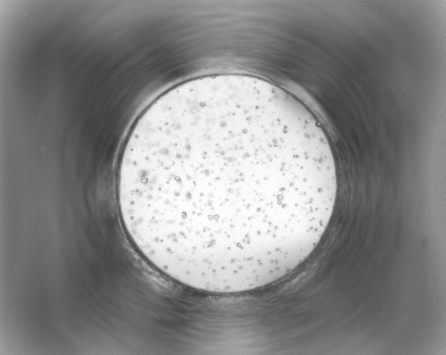 X0000063471004200602171950