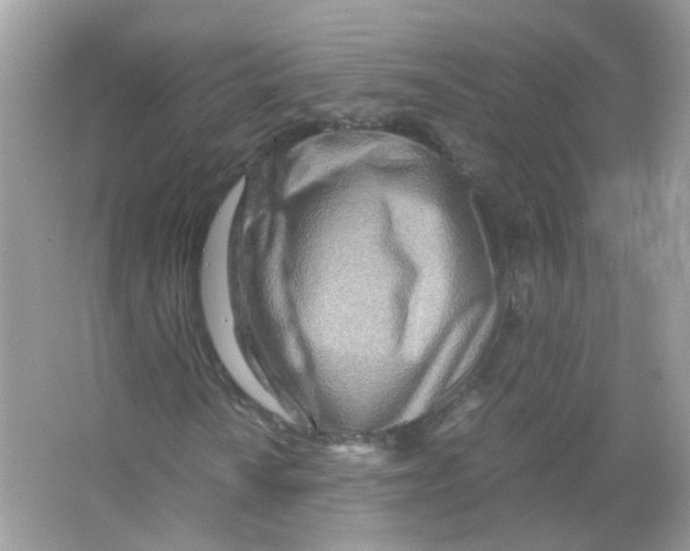 X0000063471010200602171949