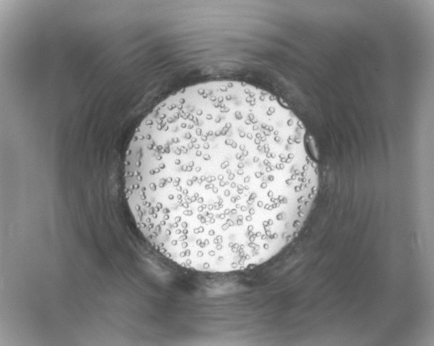 X0000063471012200602171949