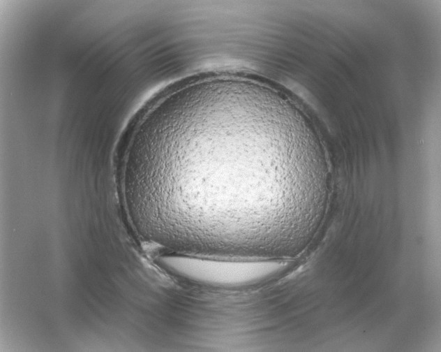 X0000063471022200602171949