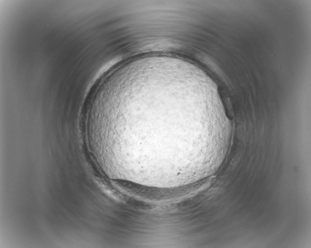 X0000063471026200602171949