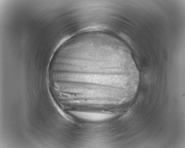 X0000063471034200602171949