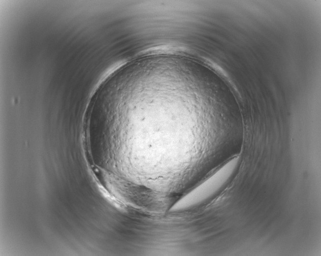 X0000063471042200602171949