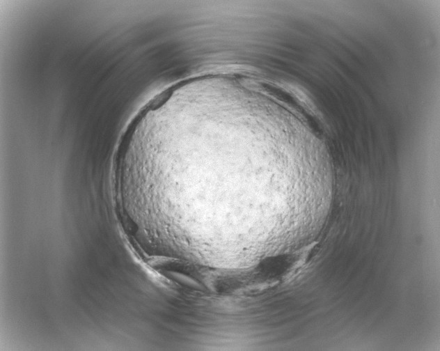 X0000063471046200602171950