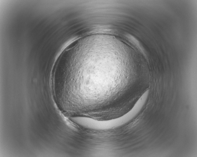 X0000063471050200602171950