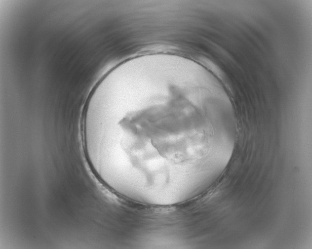 X0000063471055200602171950
