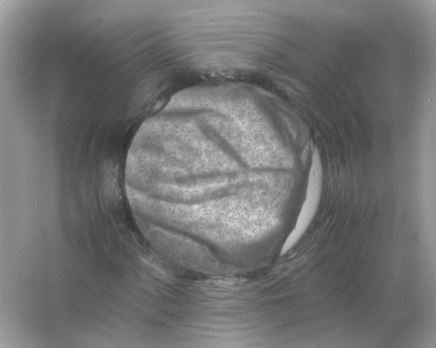 X0000063471060200602171949