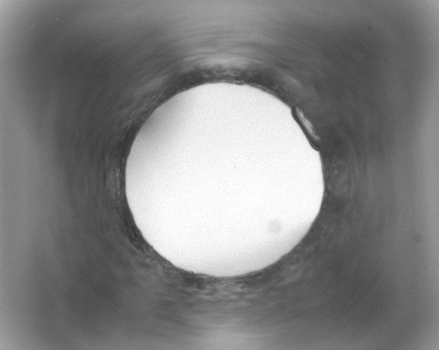 X0000063471061200602171949
