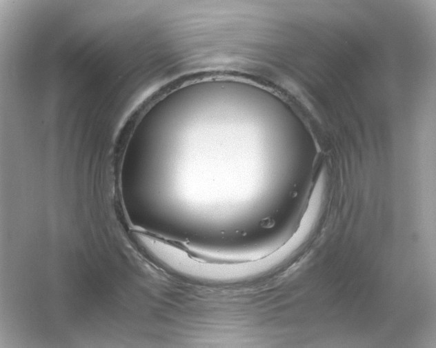 X0000063471069200602171949