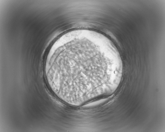 X0000063471075200602171949